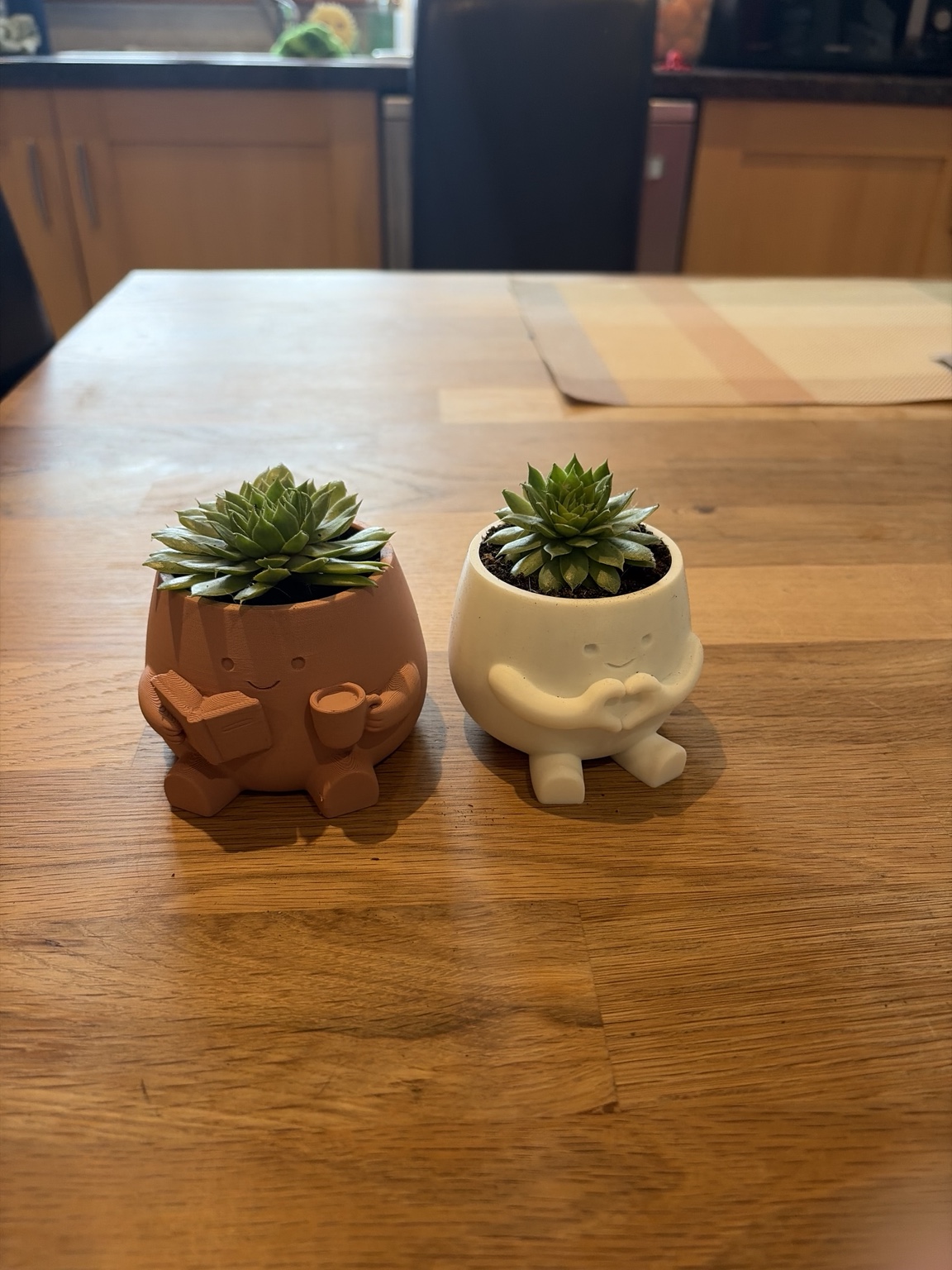 Two smiling character planters made by Nelly, holding succulents